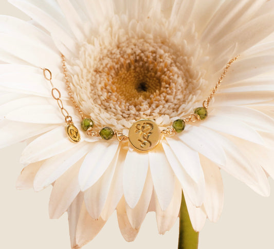 Así nació nuestra colección permanente: Orígenes